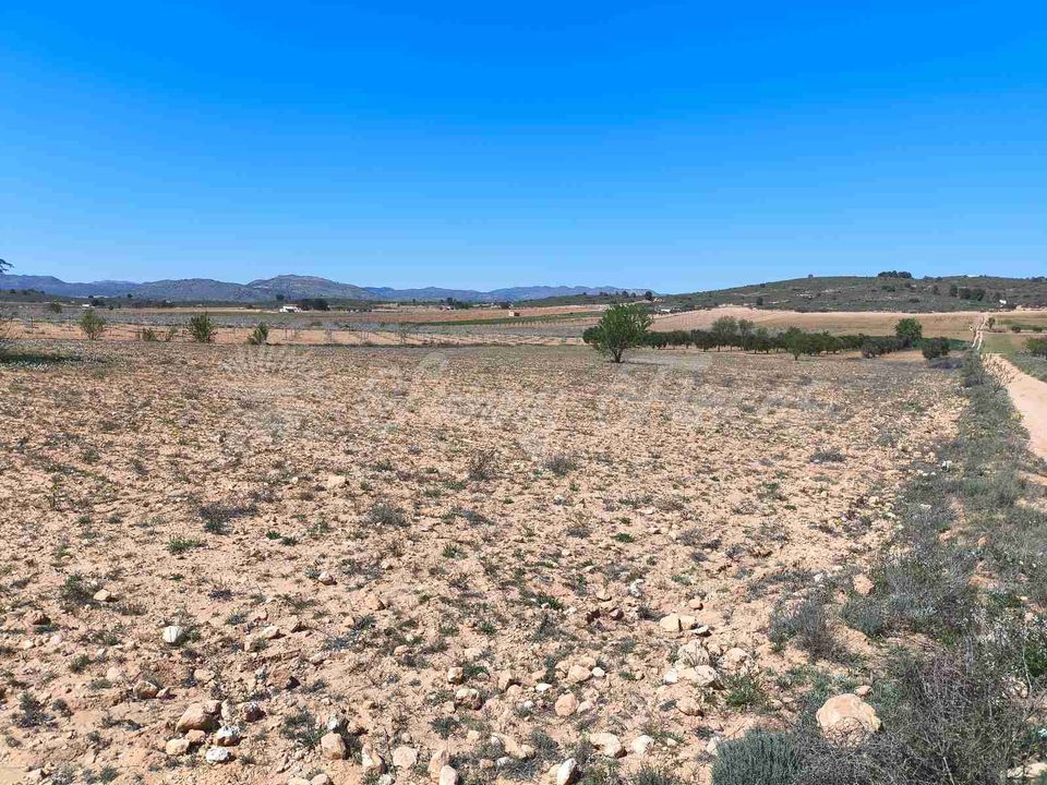 Helårsgrund i Yecla, Murcia - foto 4